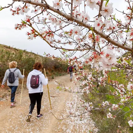 Casa Cecilia Algarve アパート アルテ